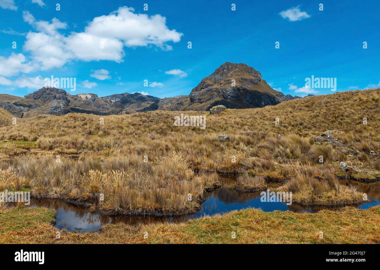 Swamp lagoon in Cajas national park, Cuenca, Ecuador. Stock Photo