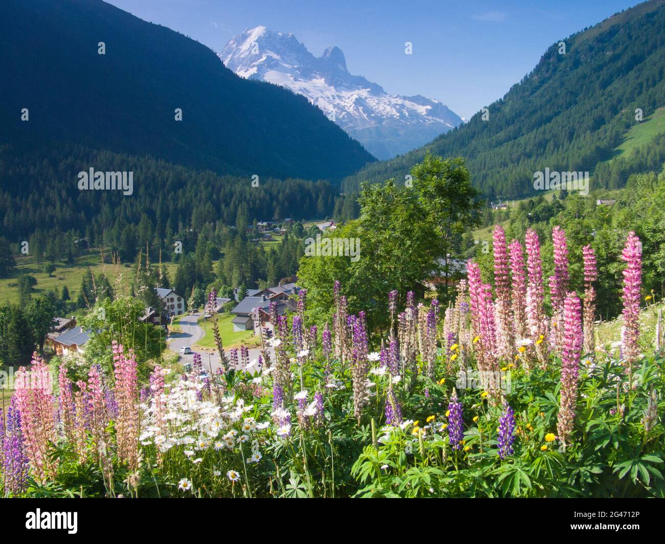 Vallorcine Stock Photo