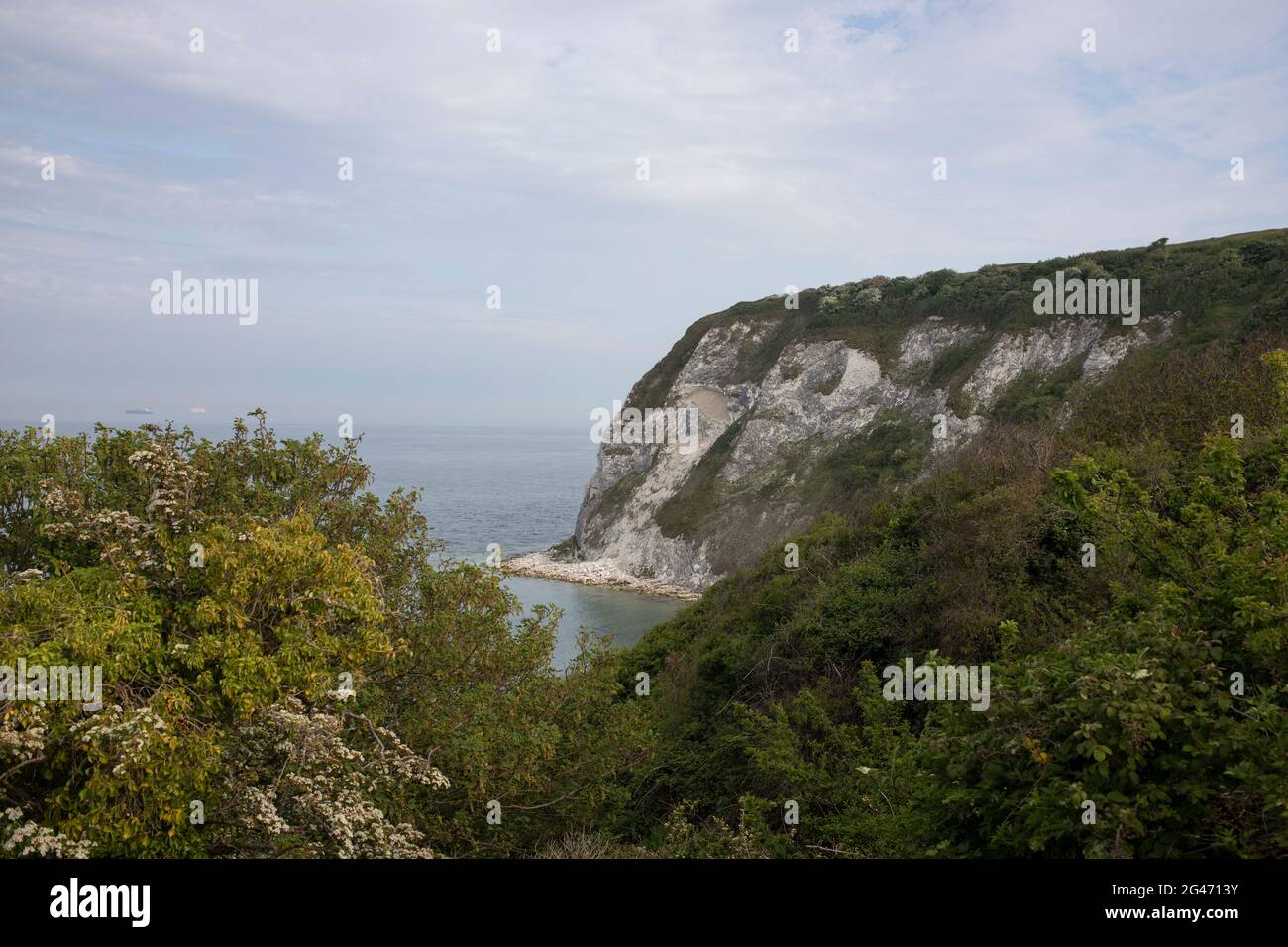 View of Culver Cliff / Whitecliff Ledge, looking out to sea from the