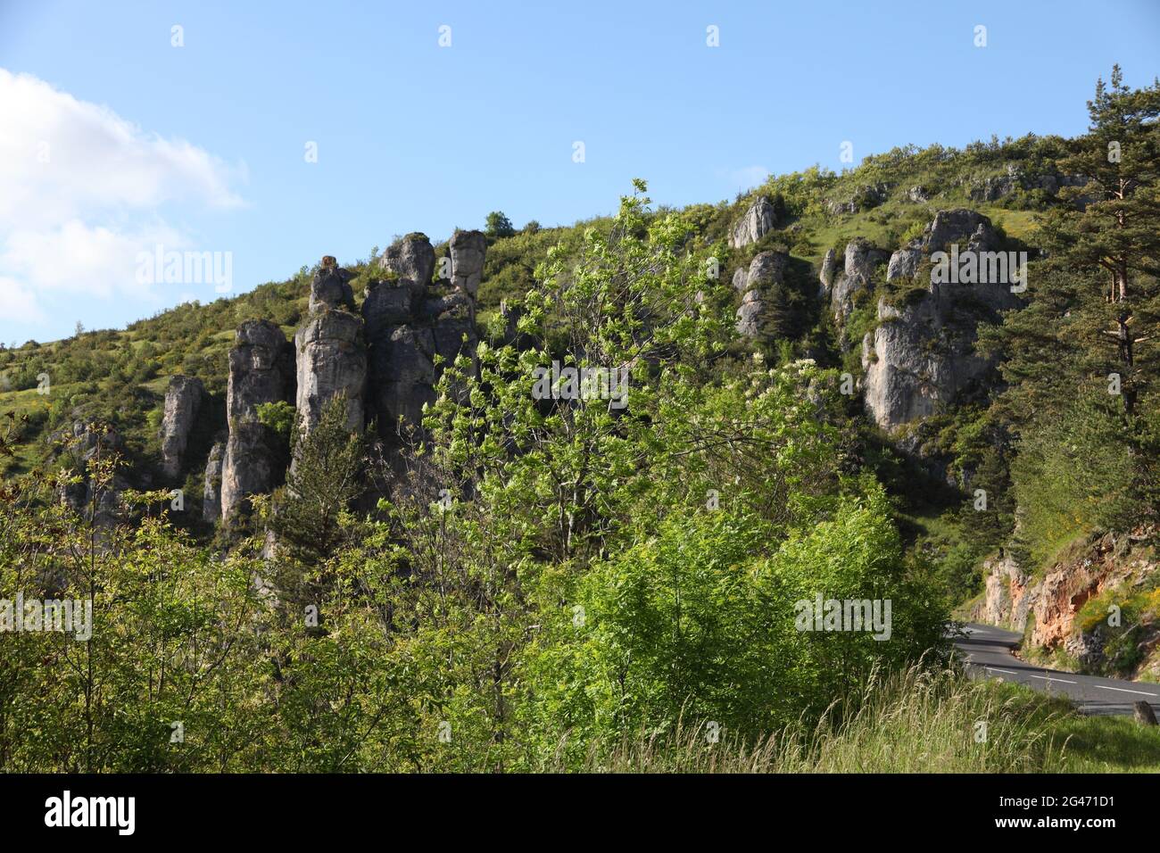 Chaos of Montpellier-le-Vieux limestone rock formations, Gorges of the Jonte and the Grands Causses, top Occitania site soon to be listed Grand Site of France Stock Photo