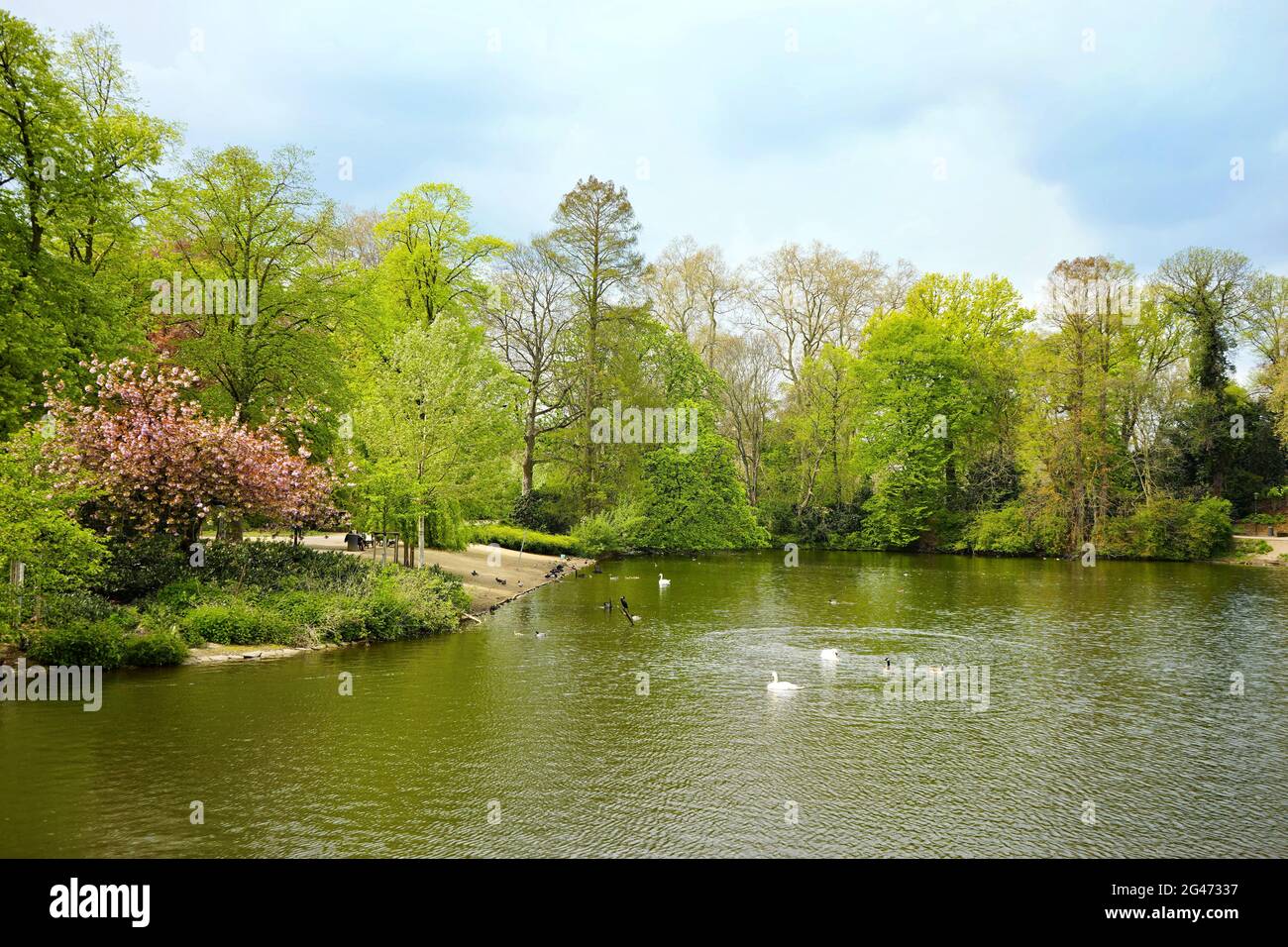 The public park 'Hofgarten', Düsseldorf's city park. It is the oldest public garden in Germany with many old trees and historic monuments. Stock Photo