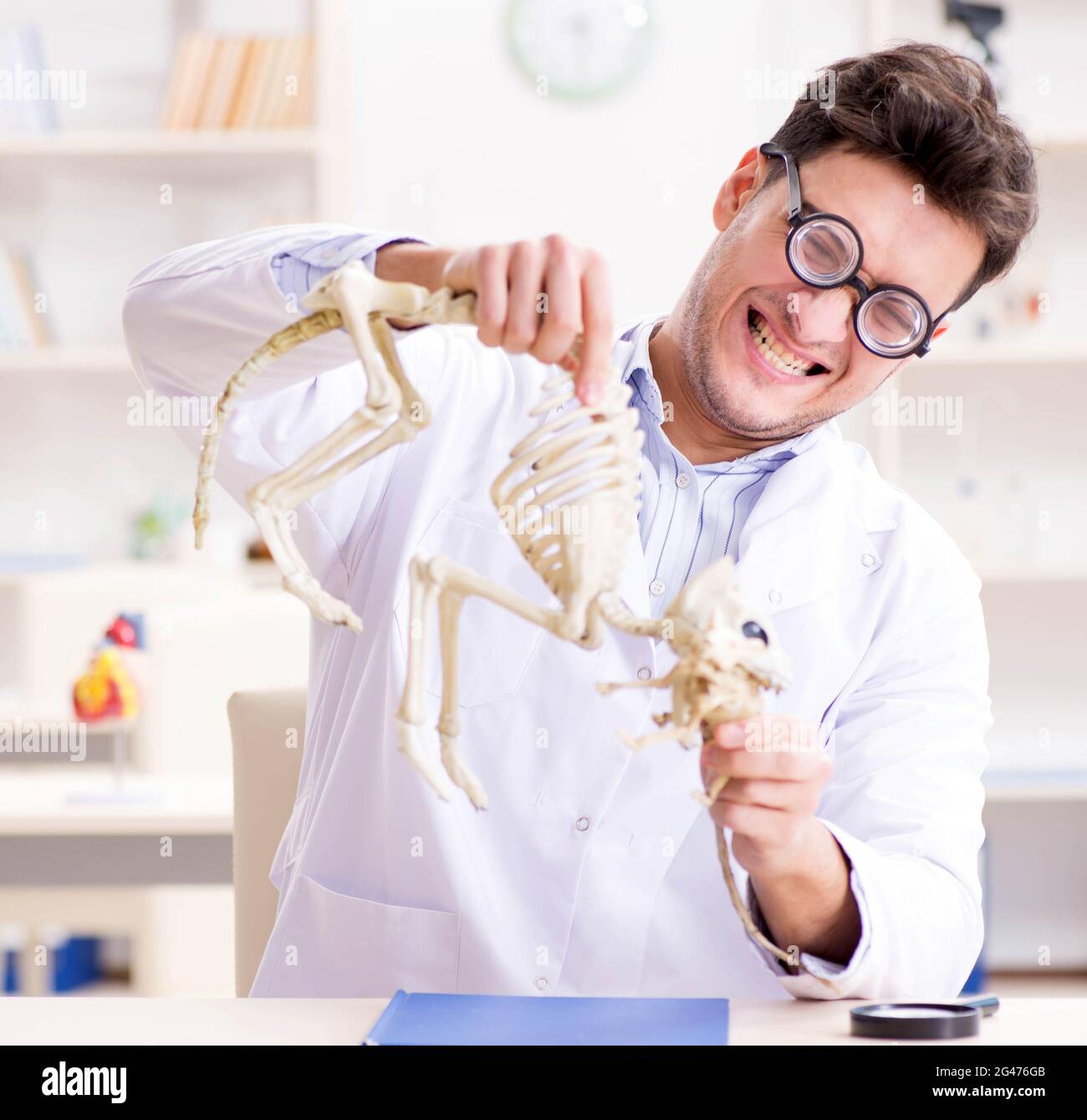 Ученые звери. Сочи человек с обезьянкой. Ученые которые проводили опыты на животных. Токтор студент. Научно-хозяйственные опыты на животных.