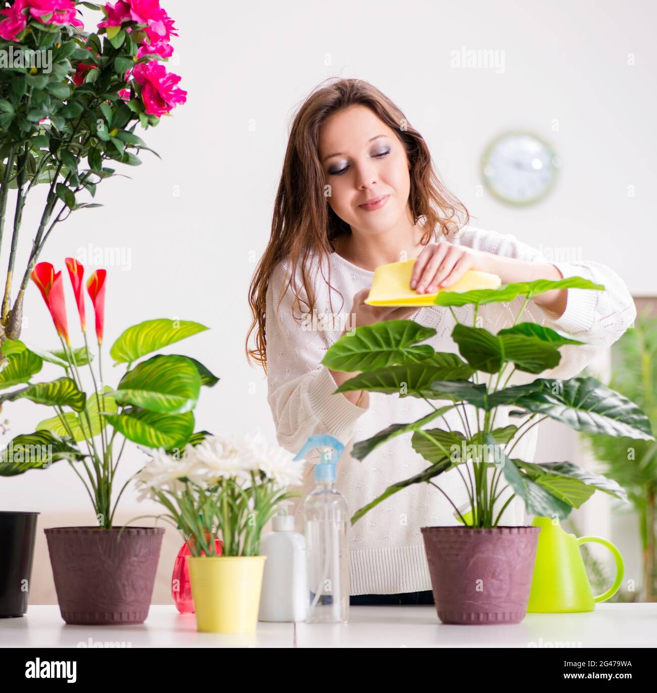 The young woman looking after plants at home Stock Photo Alamy