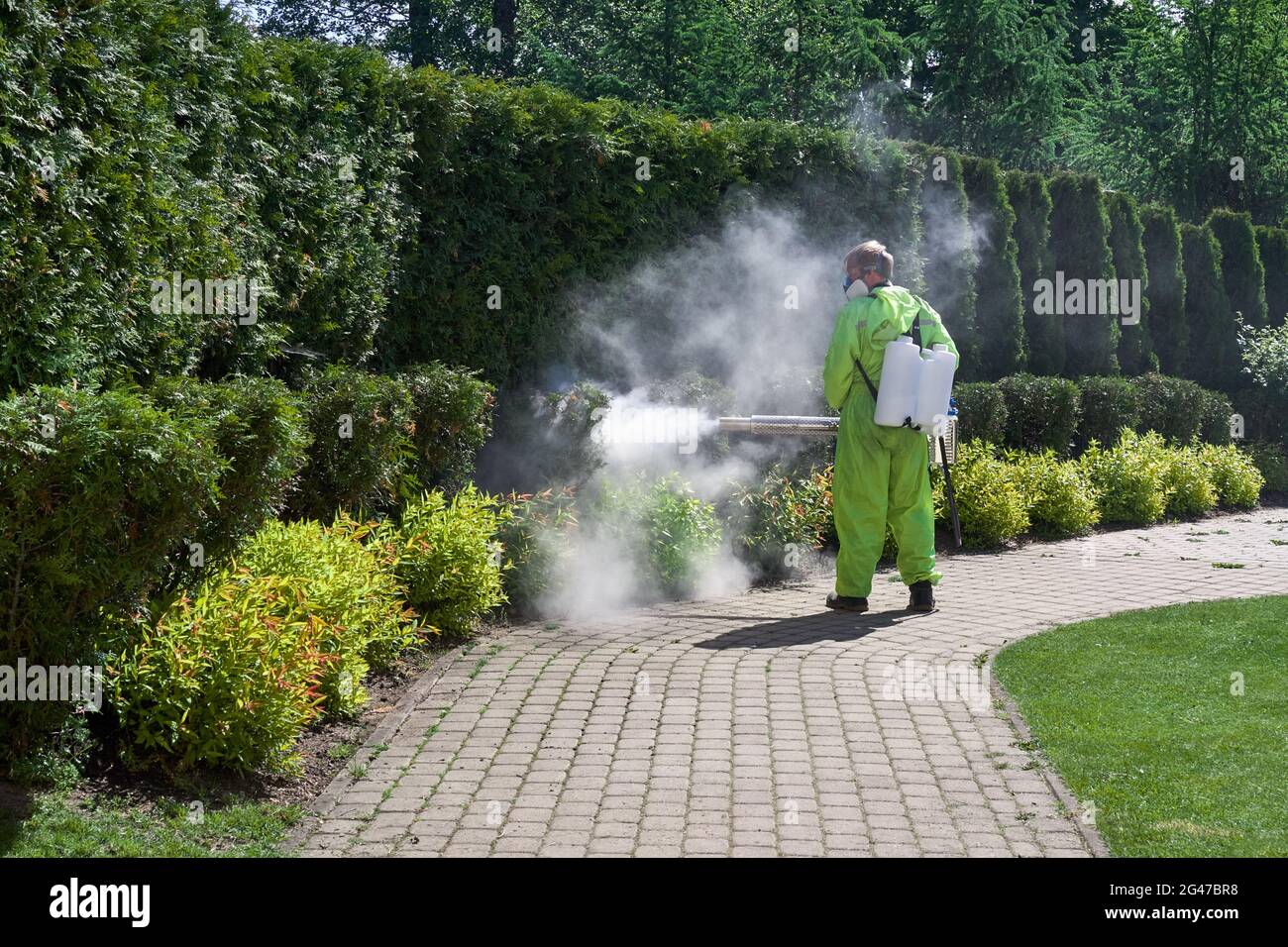 pest control worker fogging insecticide smoke outdoor garden eliminate