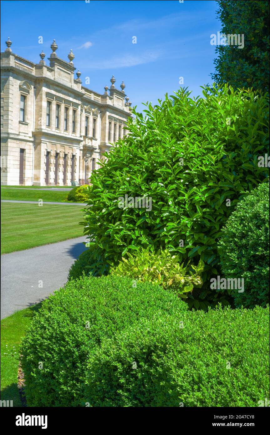 Park and woodland and garden landscapes Stock Photo