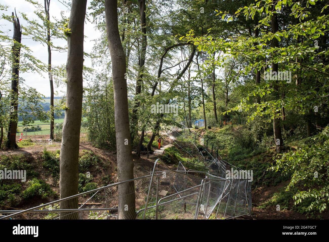 Wendover, UK. 16th June, 2021. Ancient woodland at Jones Hill Wood in ...