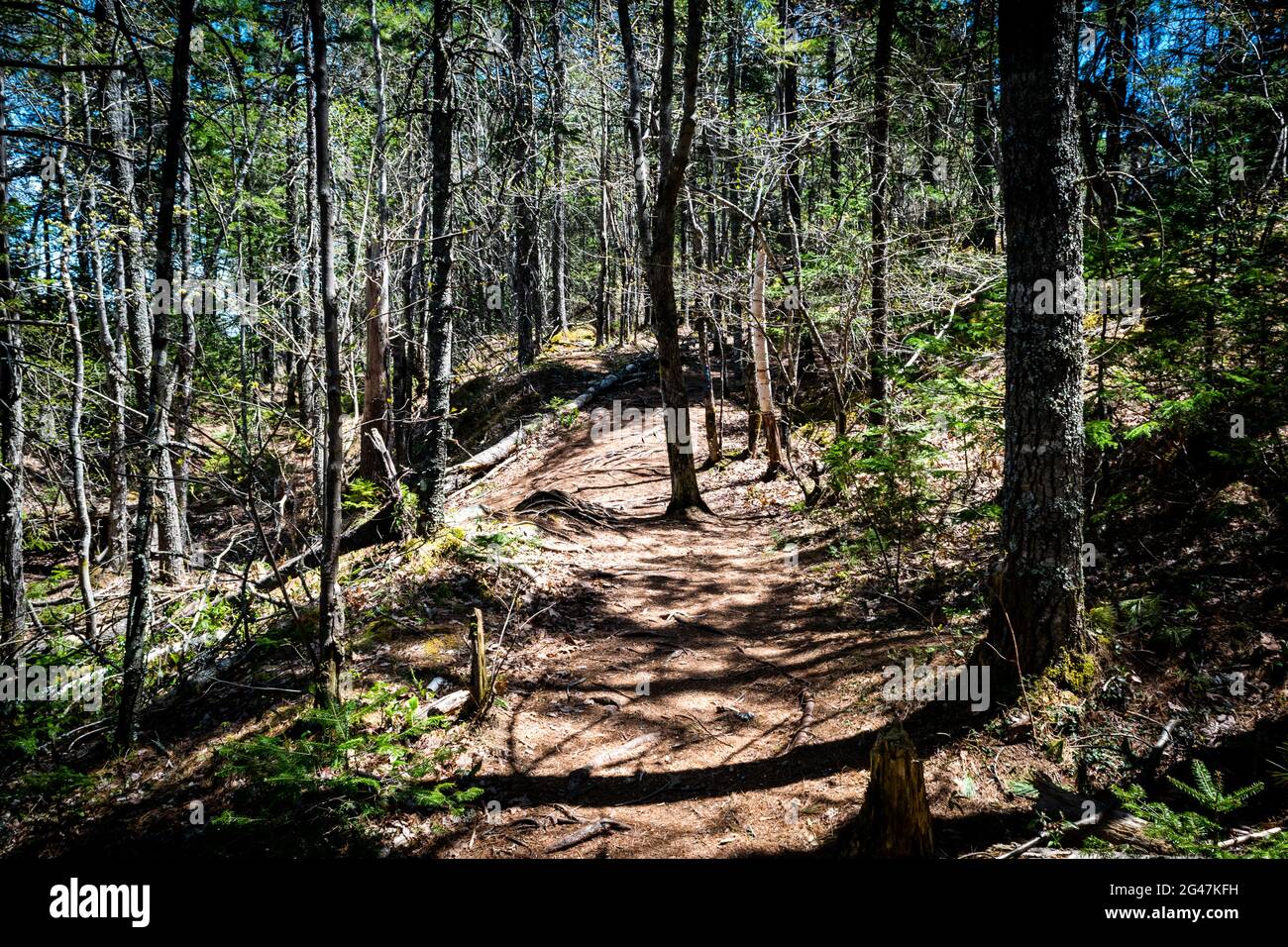 hiking trils in the wilderness in north america Stock Photo