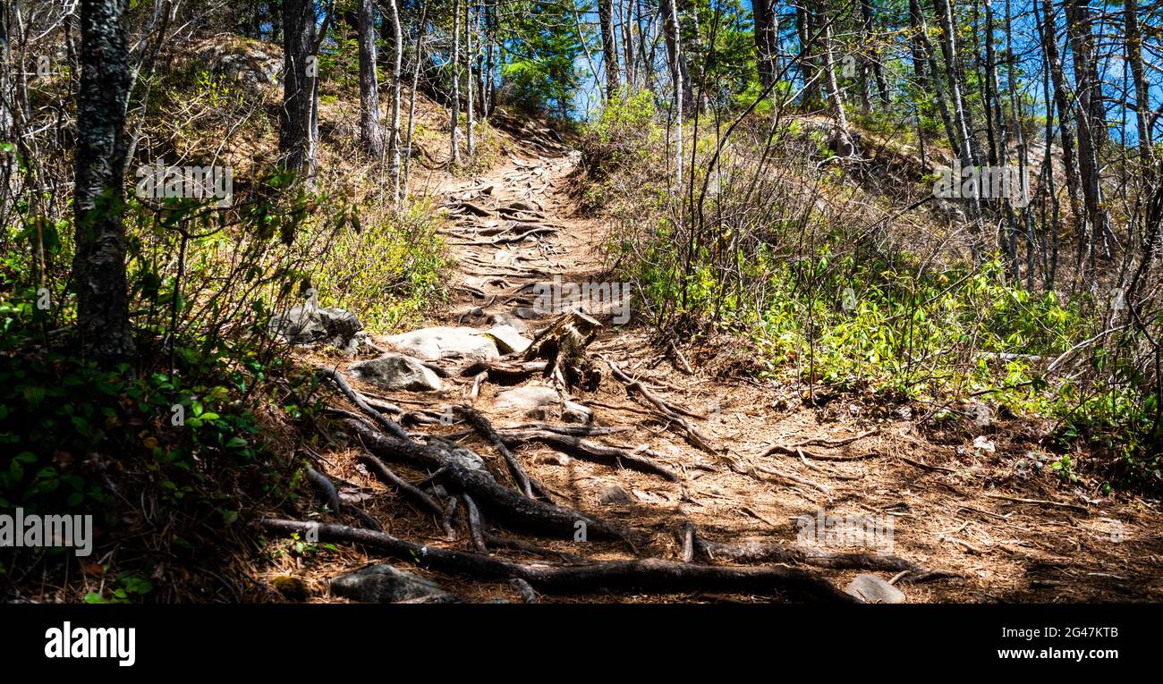 hiking trils in the wilderness in north america Stock Photo