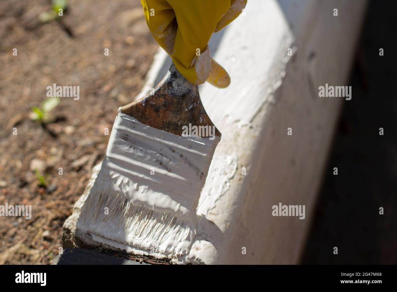 Paints the kerb with white paint. Brush with paint for the road curb. Painting the road. The man in the glove paints. Stock Photo