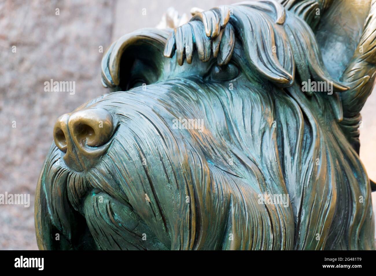 Fala, the Scottish terrier dog of President Franklin Delano Roosevelt. At the Mall in Washington DC. Stock Photo