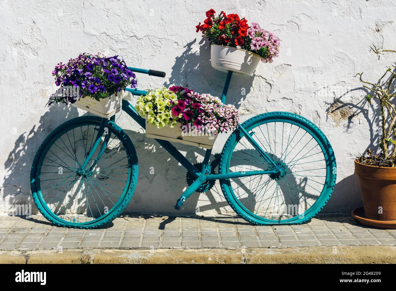 Bicycle with flower baskets leaning against an old white wall Stock