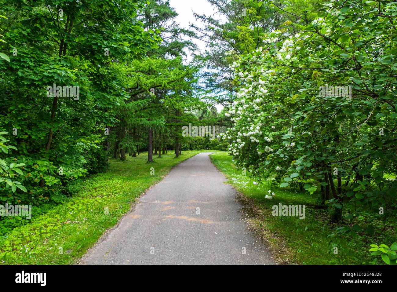 Garden pathway outside walking hi-res stock photography and images - Alamy
