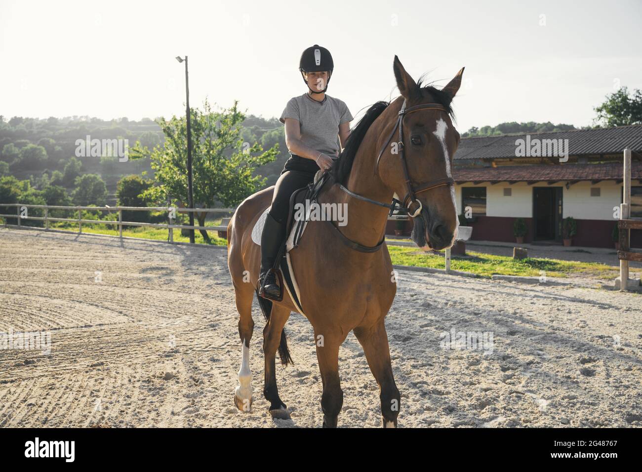 Female equestrian riding a horse Stock Photo Alamy