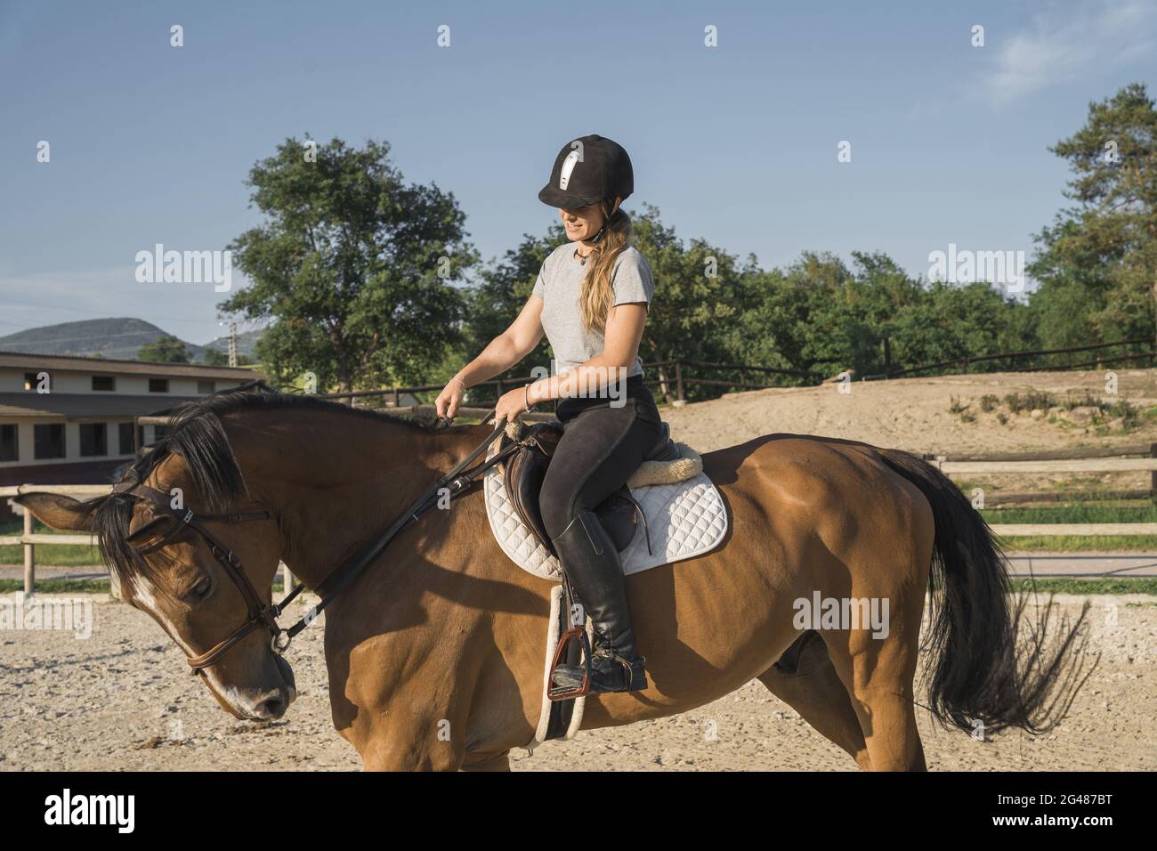 Female equestrian riding a horse Stock Photo Alamy