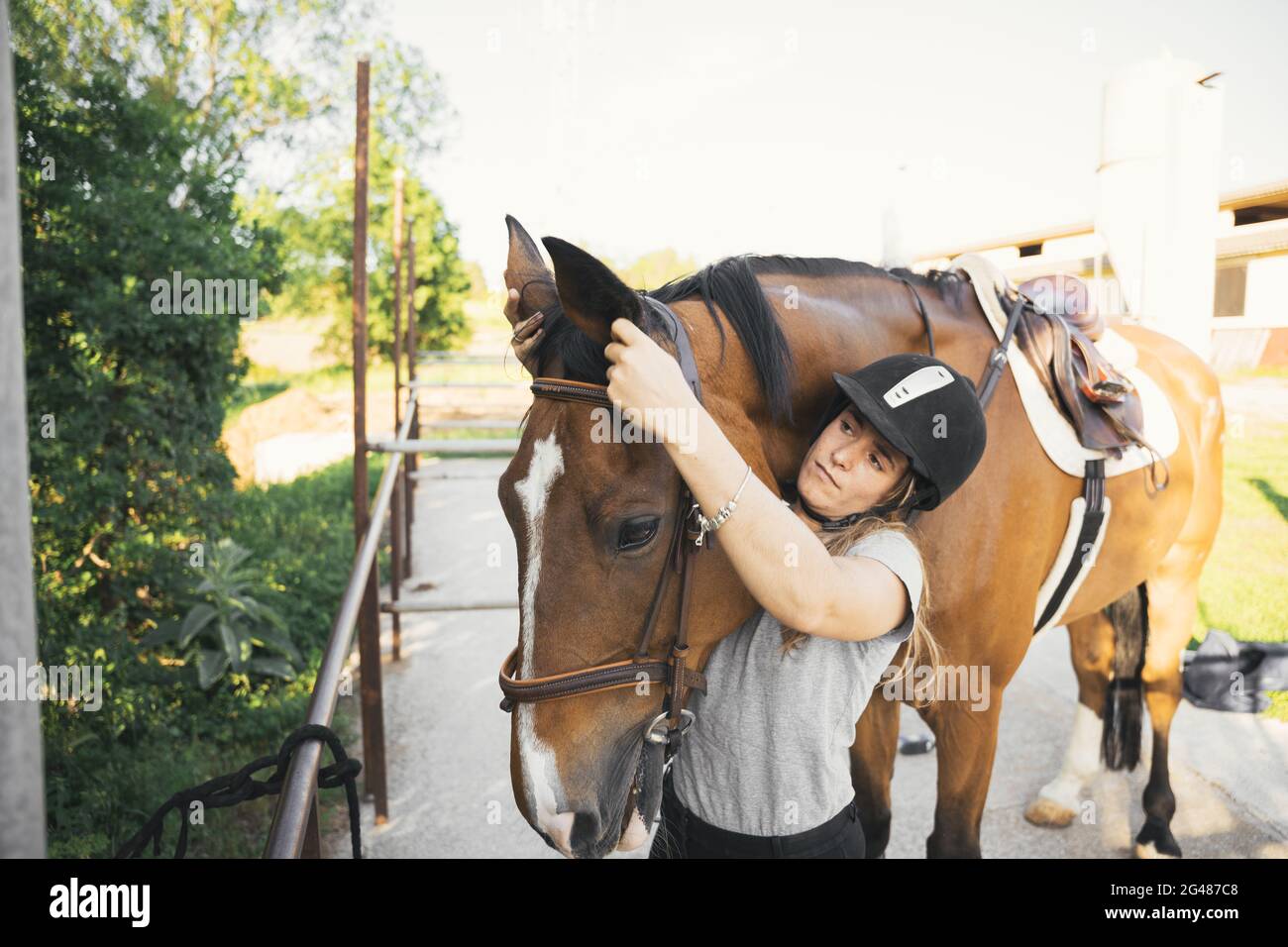 Equestrian sporty female putting bridle on horse Stock Photo Alamy