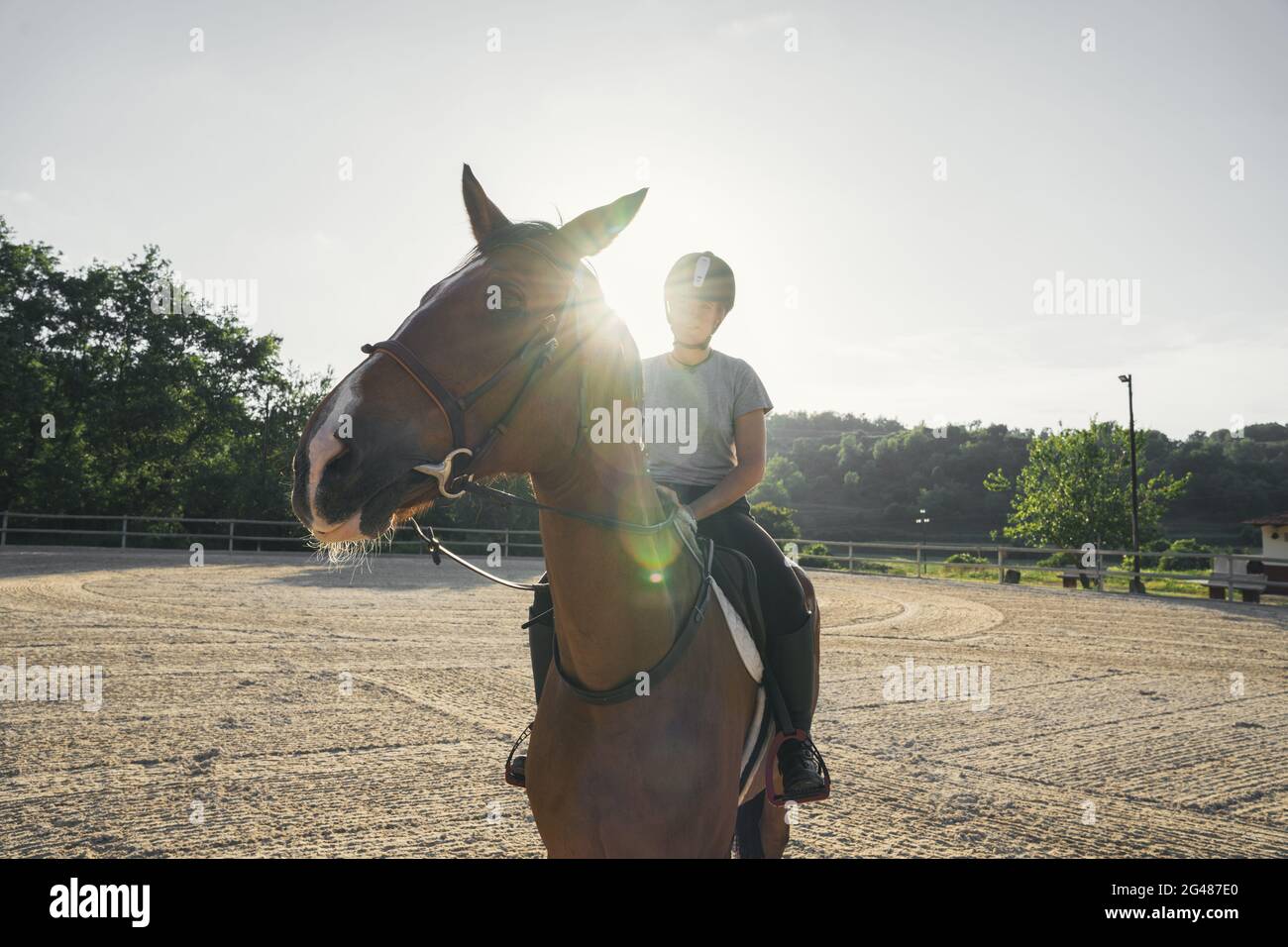 Female equestrian riding a horse Stock Photo Alamy