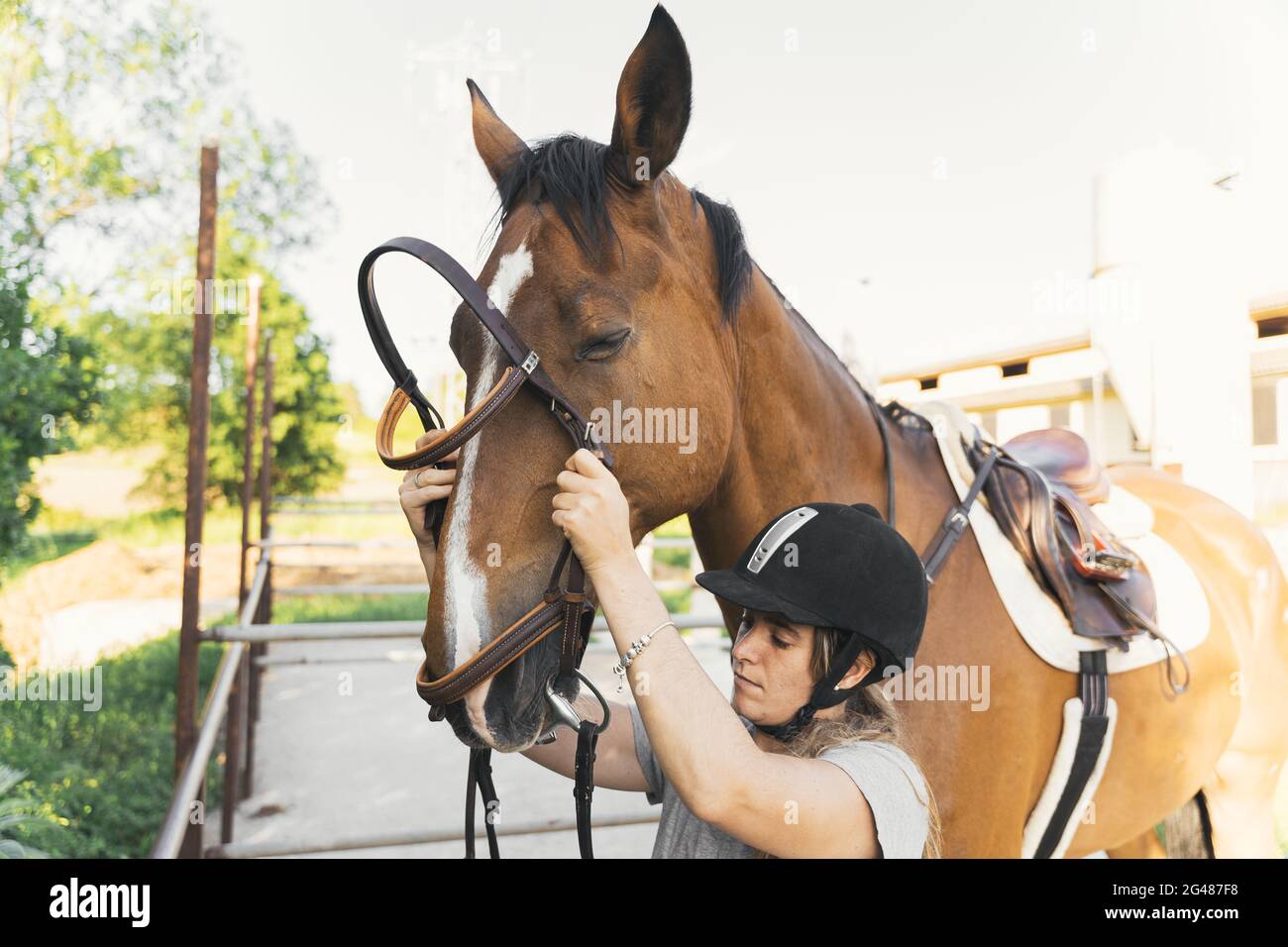 Equestrian sporty female putting bridle on horse Stock Photo Alamy