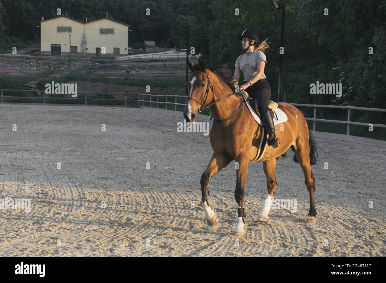 Female equestrian riding a horse Stock Photo Alamy