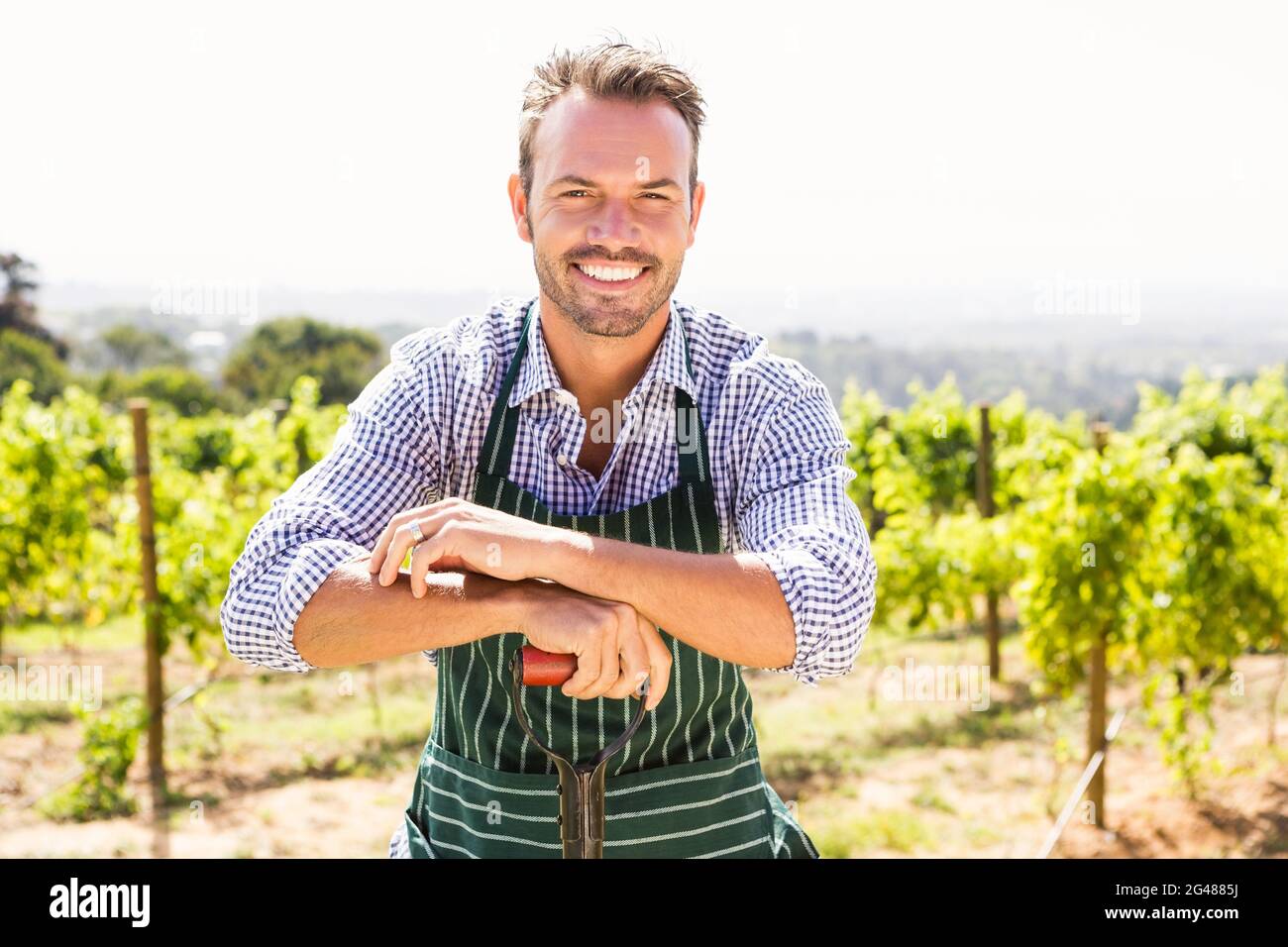 Portrait of young man with shovel at vineyard Stock Photo - Alamy