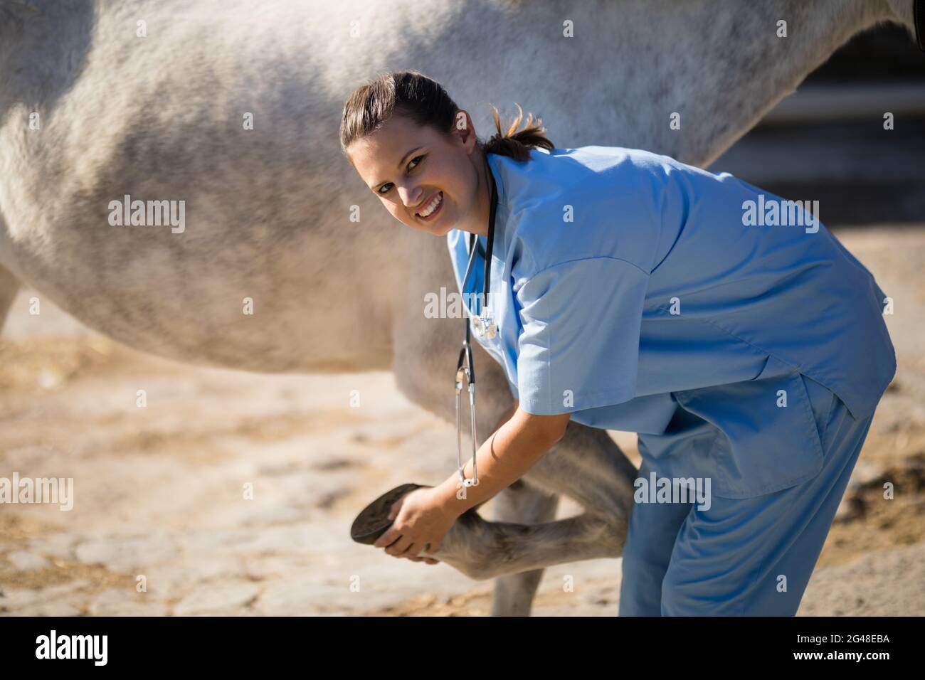 Veterinarian horse hoof hi-res stock photography and images - Alamy