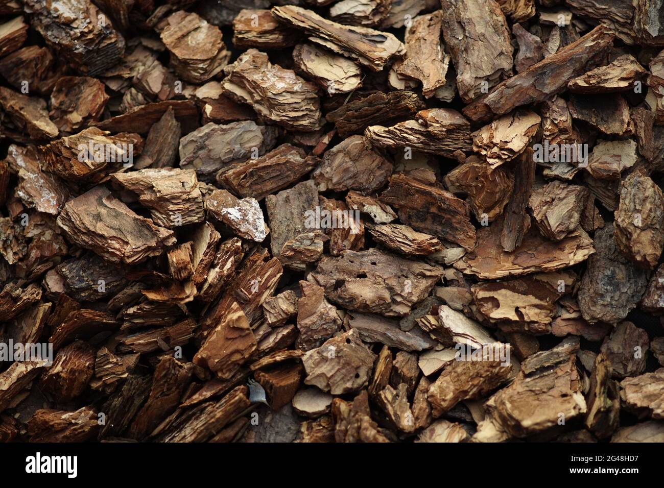Pine wood chips background for garden design Stock Photo Alamy