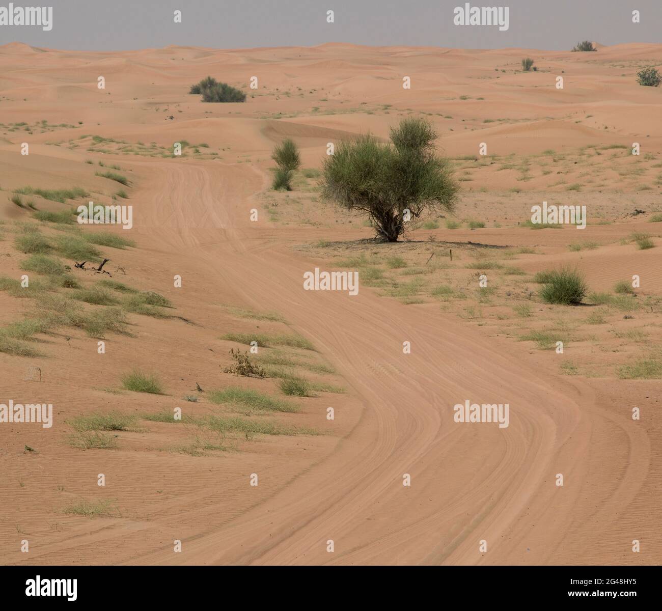 Arid desert with flat land; landscape of a desert; Desert road and