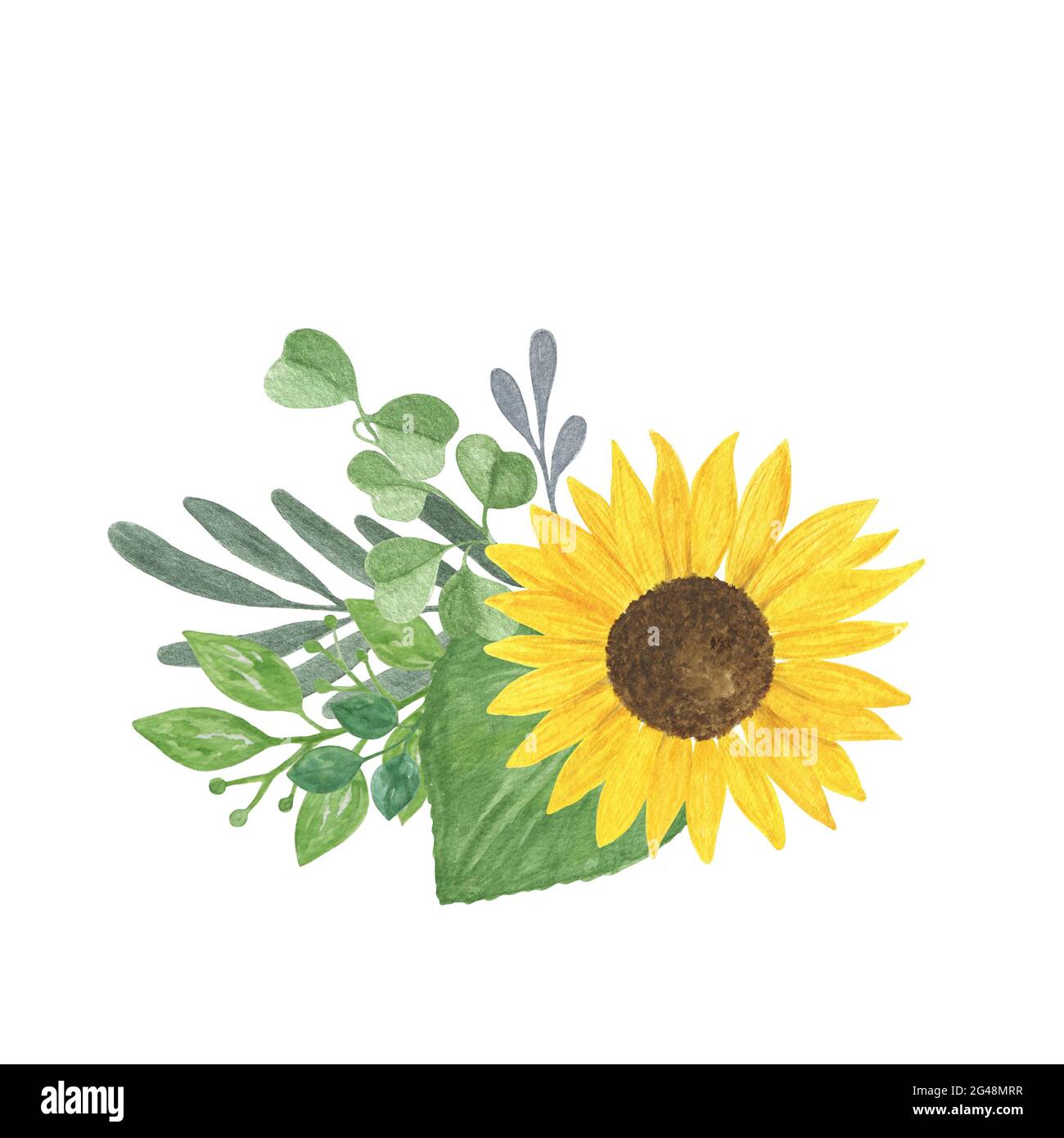 Sunflowers and leaves bouquet watercolor hand drawn floral illustration