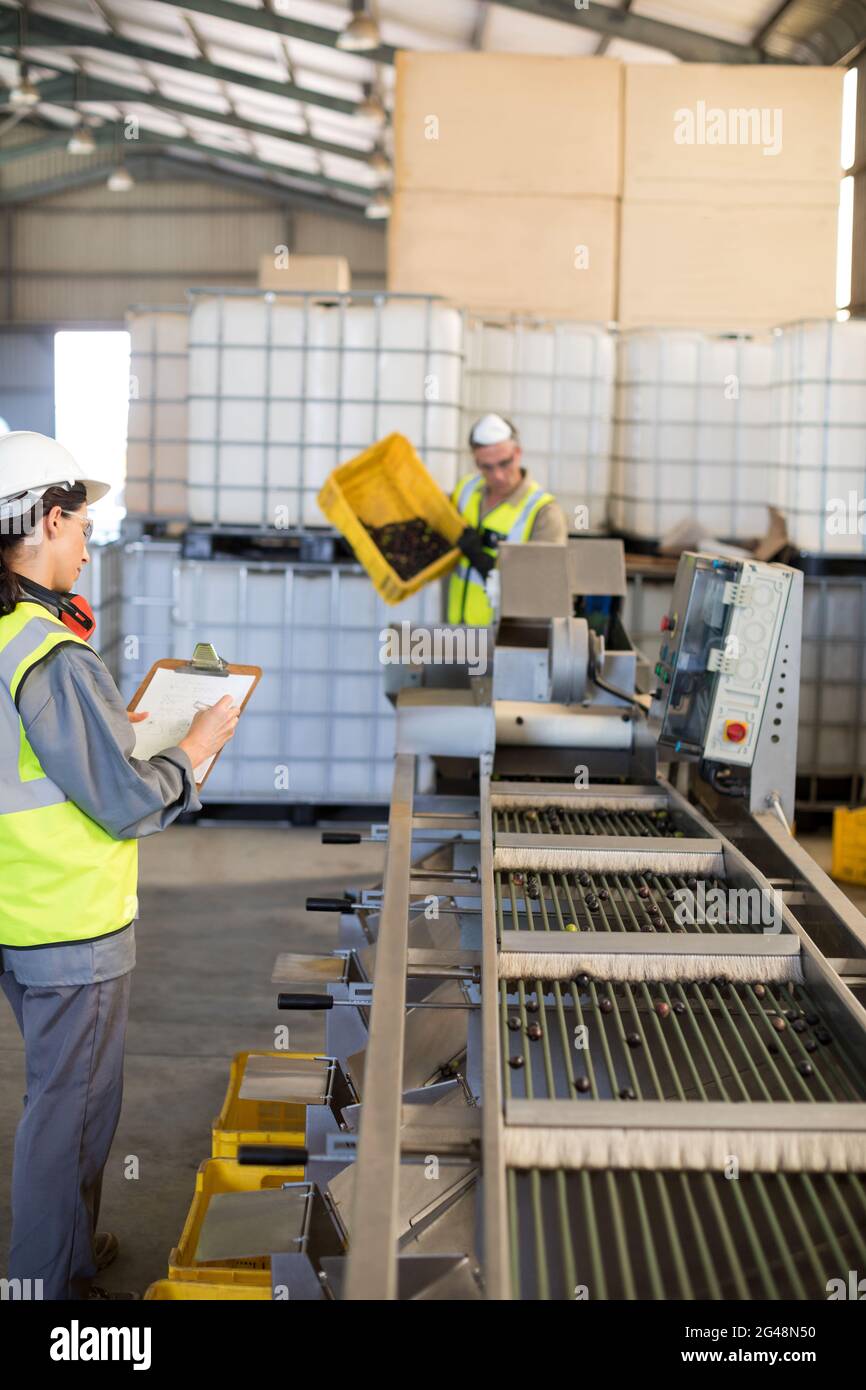 Technician and worker working together Stock Photo