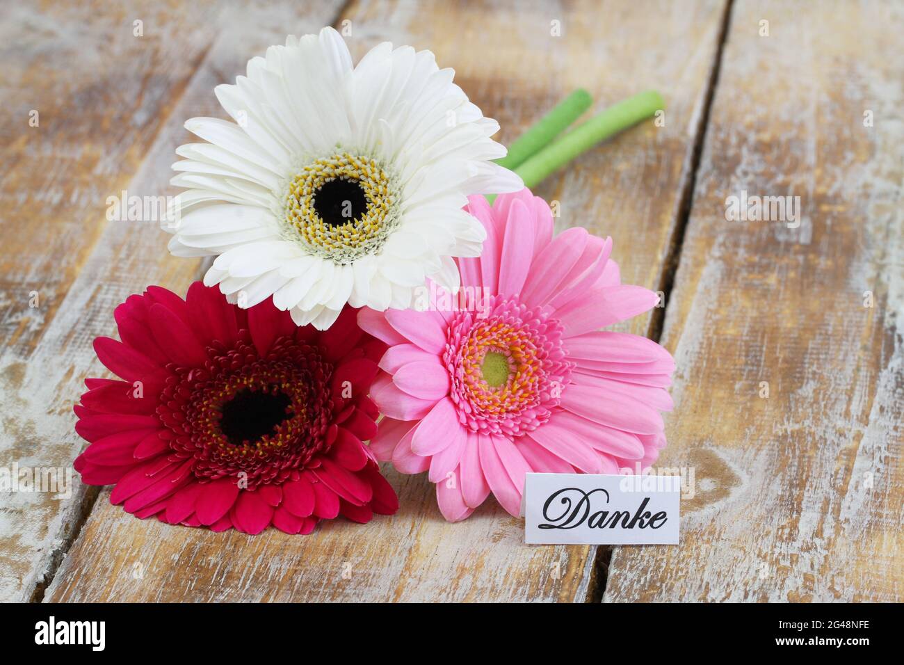 Danke (thank you in German) card with three pink and white gerbera daisies on rustic wooden surface Stock Photo