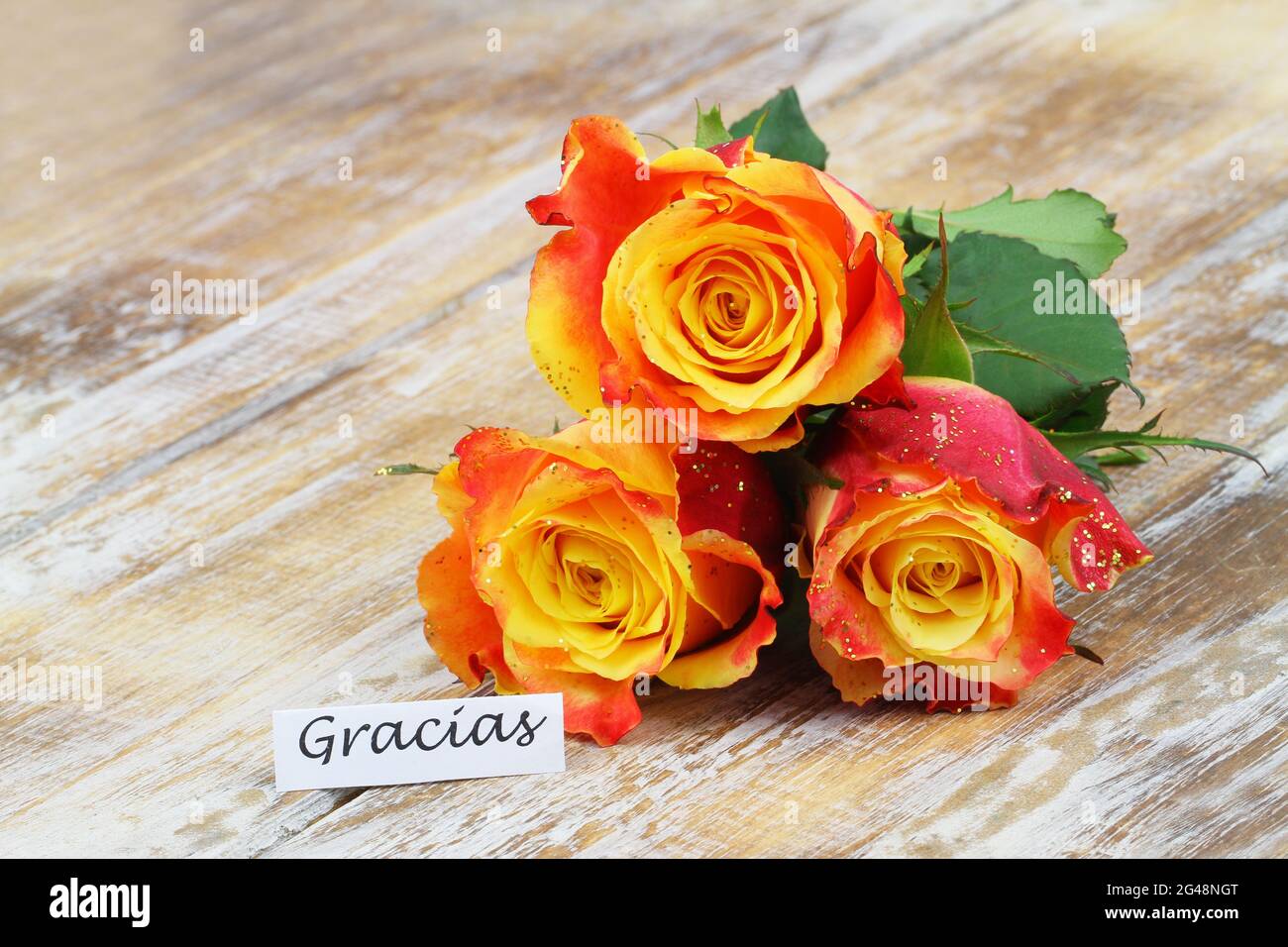 Gracias (thank you in Spanish) card with three beautiful colorful roses sprinkled with glitter on rustic wooden surface Stock Photo