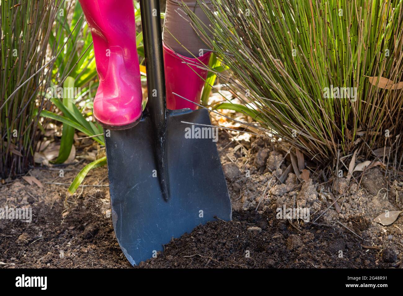 Low section of woman digging soil with shovel in garden Stock Photo
