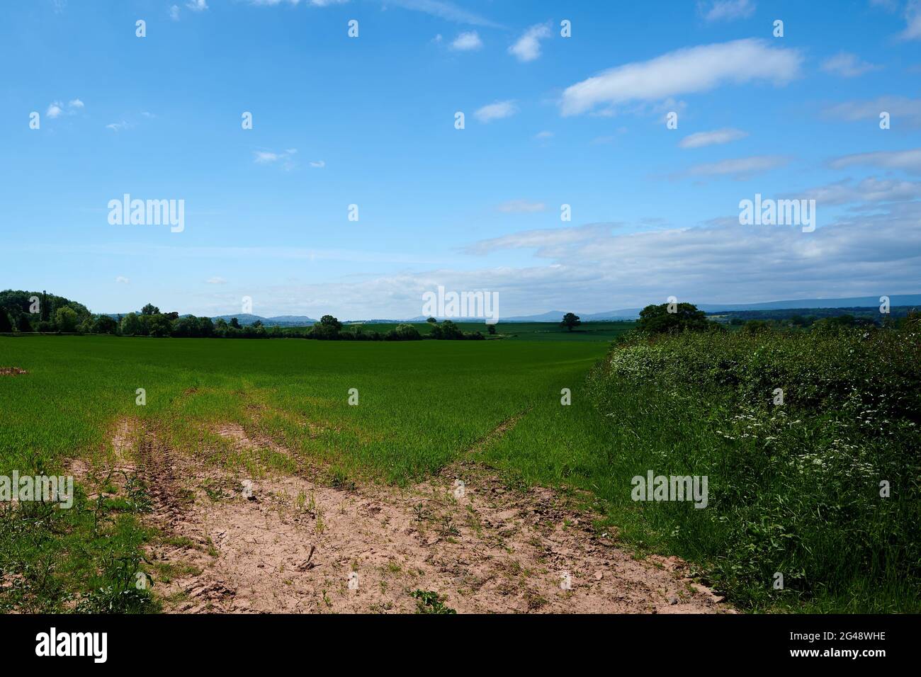 Blue sky with small clouds hi-res stock photography and images - Alamy