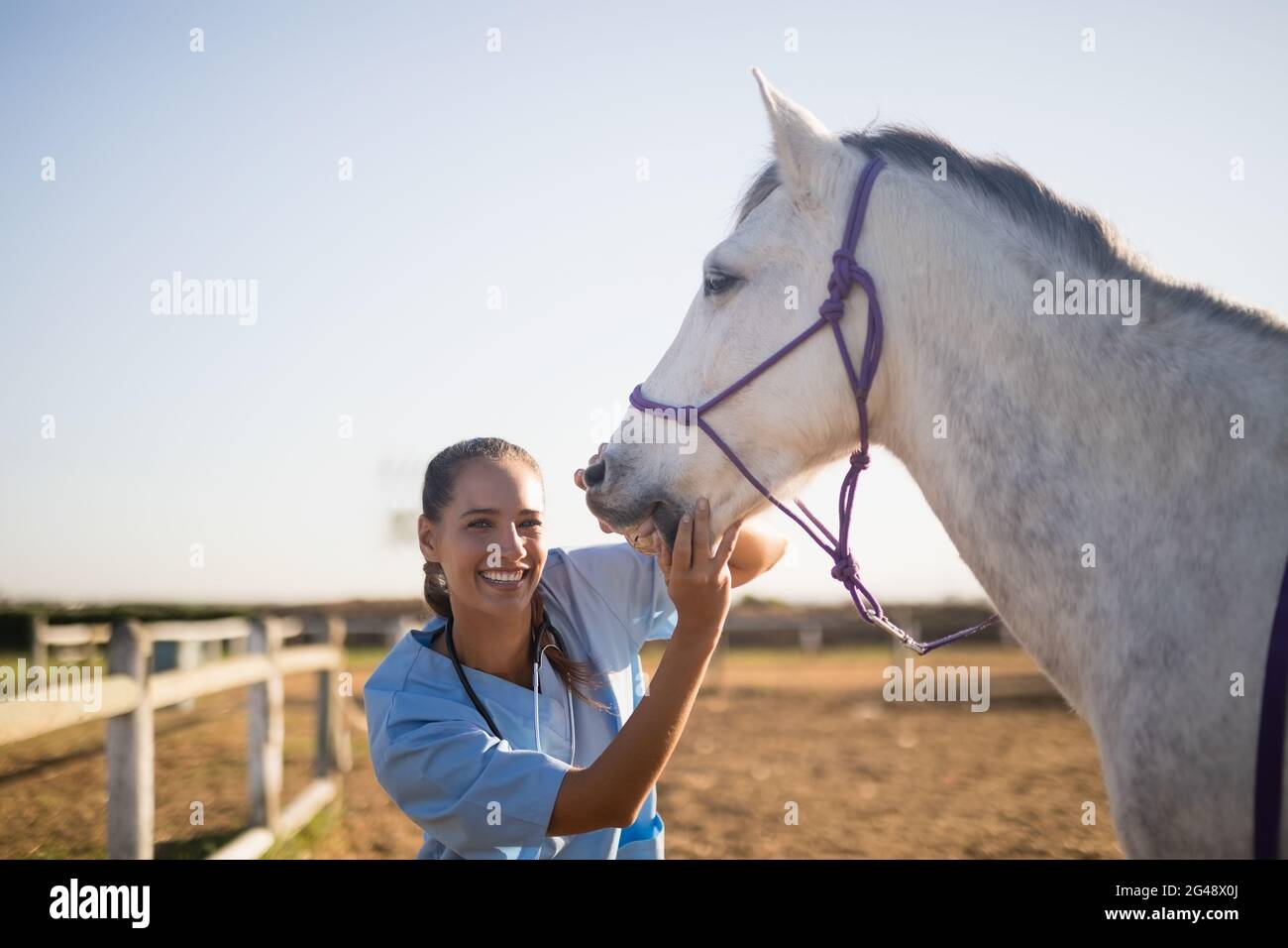 Vet with stethoscope horse hi-res stock photography and images - Alamy