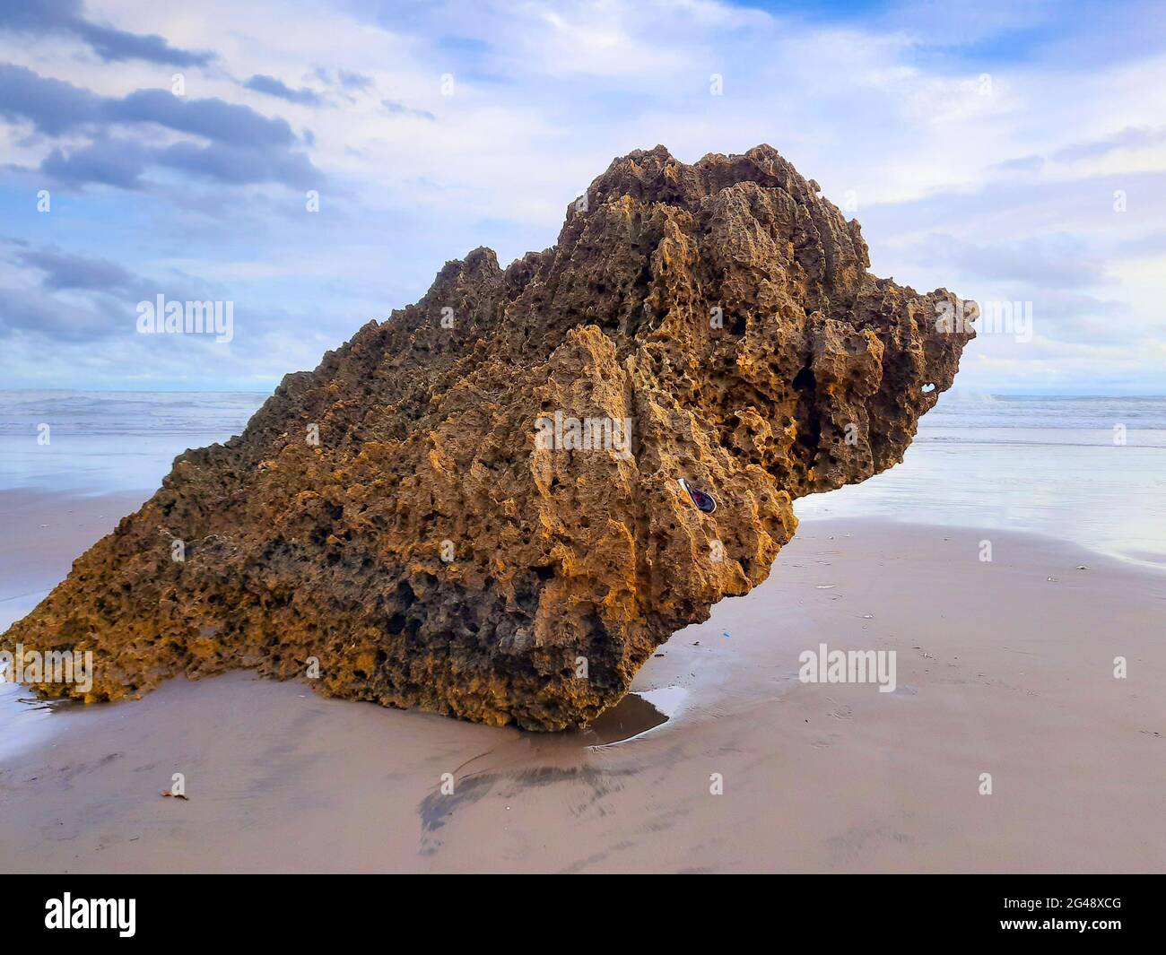 Single rock formation on a sand beach eroded to a sitting bird in profile view. Stock Photo