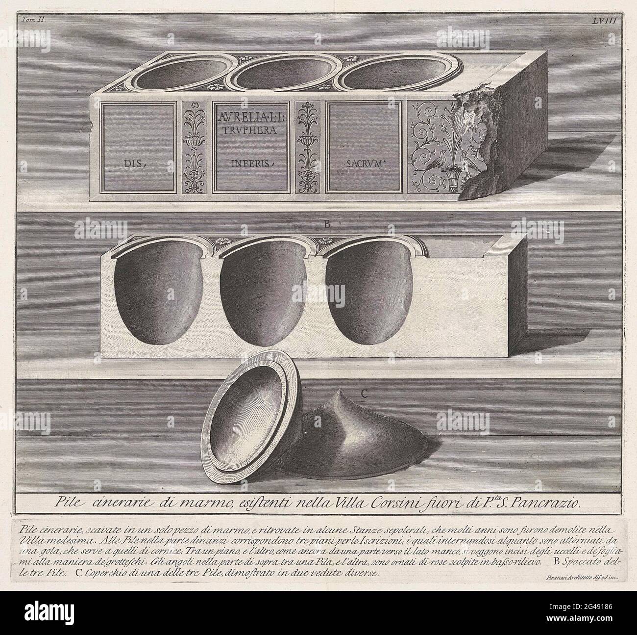 Titit hi-res stock photography and images - Alamy