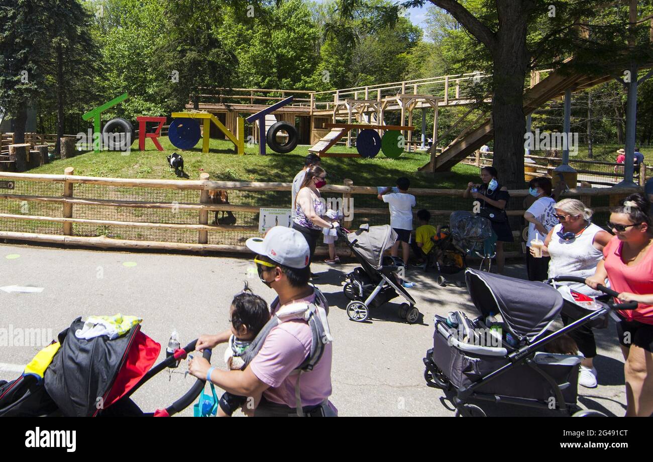 Toronto, June 19. 23rd Nov, 2020. Visitors look around at the Toronto Zoo in Toronto, Canada, on June 19, 2021. The Toronto Zoo officially reopened to the public on Saturday after being closed to visitors since November 23, 2020. Credit: Zou Zheng/Xinhua/Alamy Live News Stock Photo