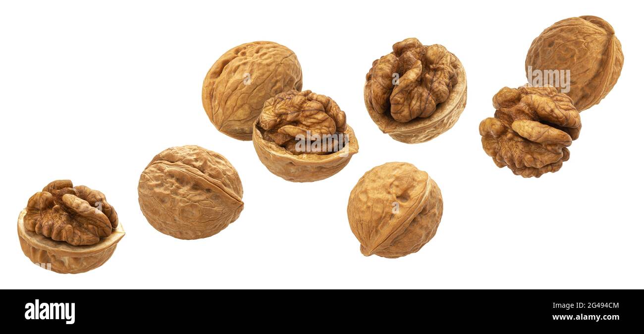 Falling walnuts isolated on white background, collection Stock Photo