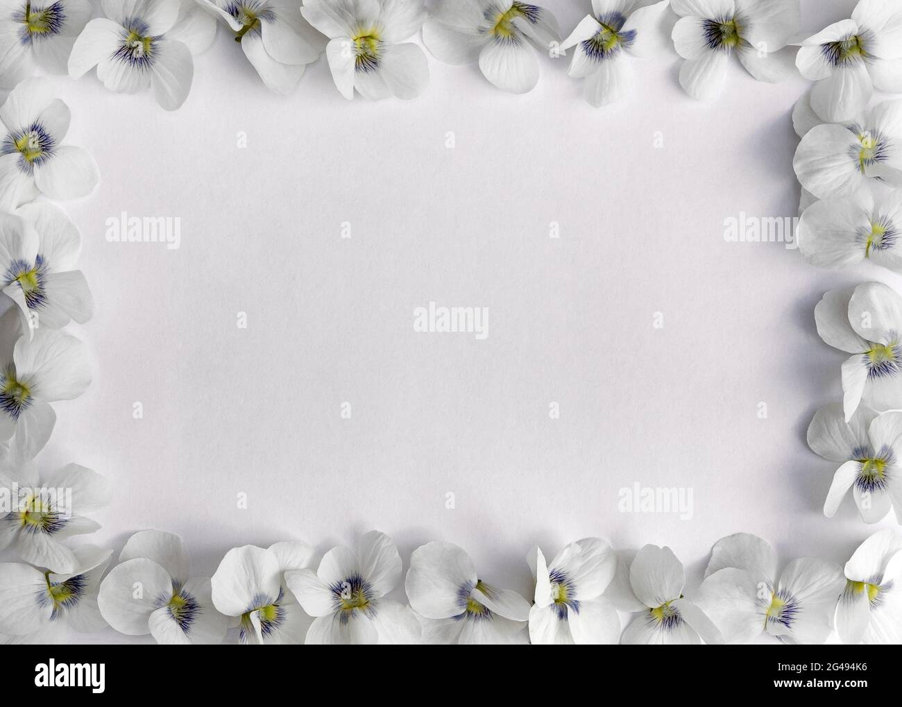 Rectangular frame with a flower pattern hi-res stock photography and ...