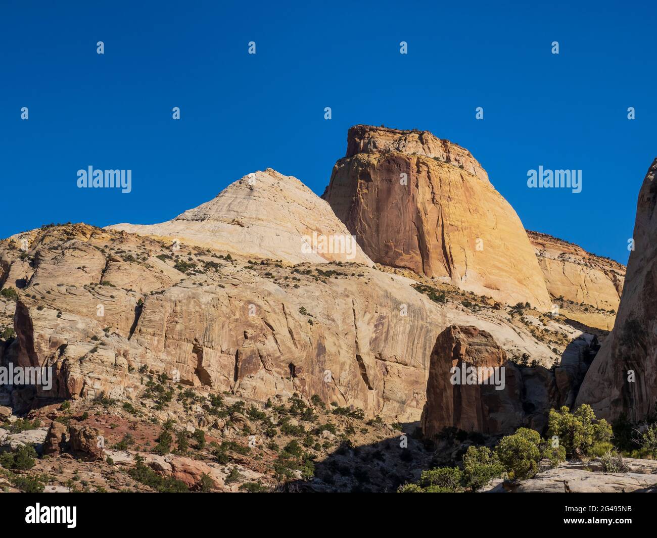 Golden Throne Trail, Capitol Gulch, Capitol Reef National Park, Torrey, Utah. Stock Photo