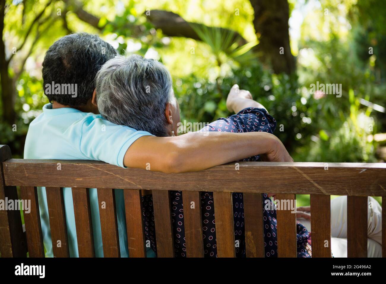 Senior couple pointing to a distance in garden Stock Photo