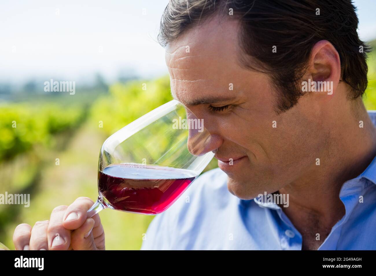 Vintner smelling glass of wine Stock Photo - Alamy