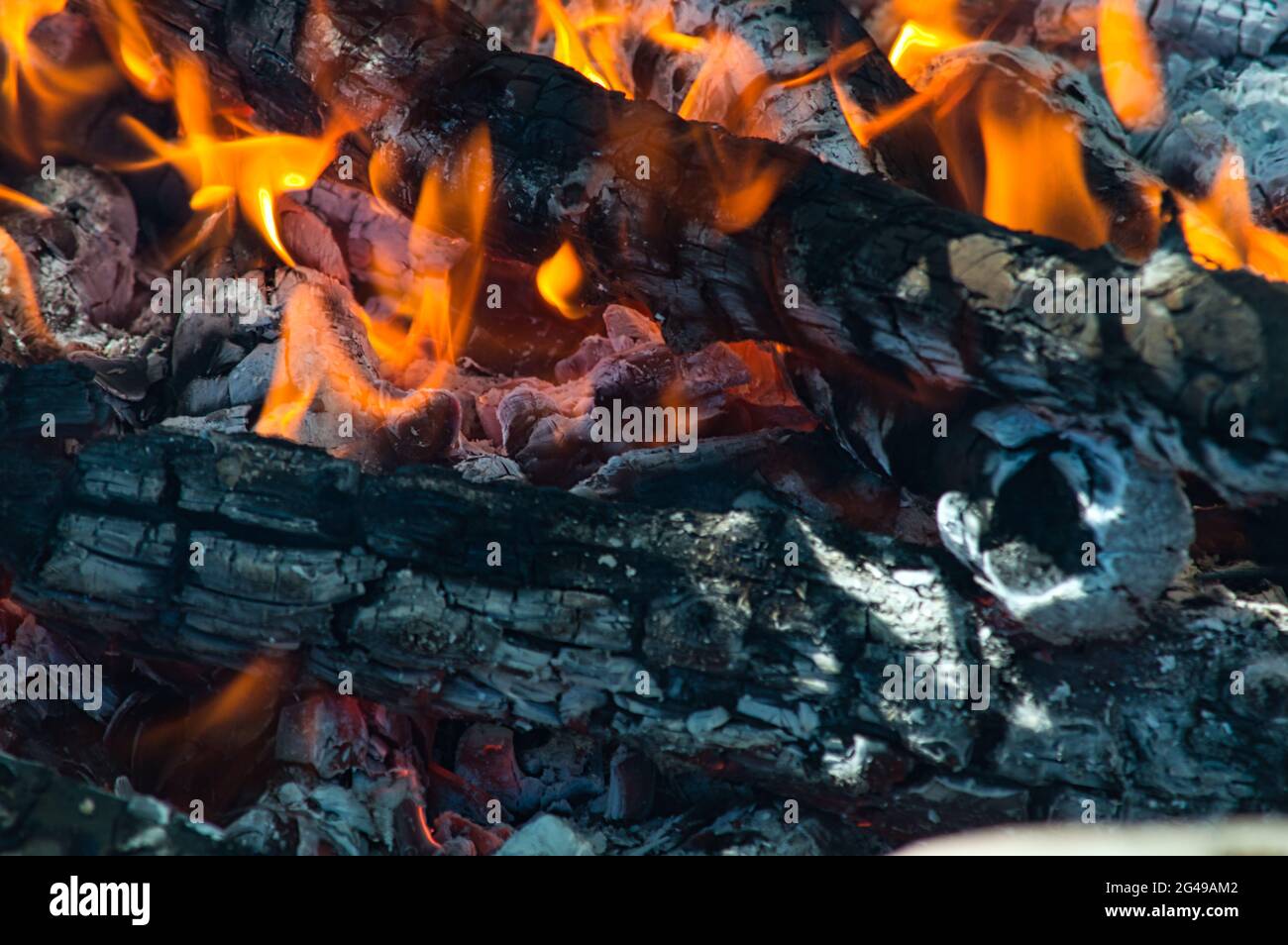 Closeup burning tree branch hi-res stock photography and images - Alamy