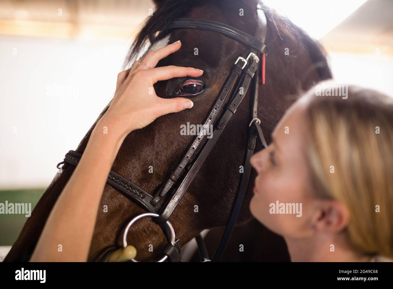 Horse eye vet hi-res stock photography and images - Alamy