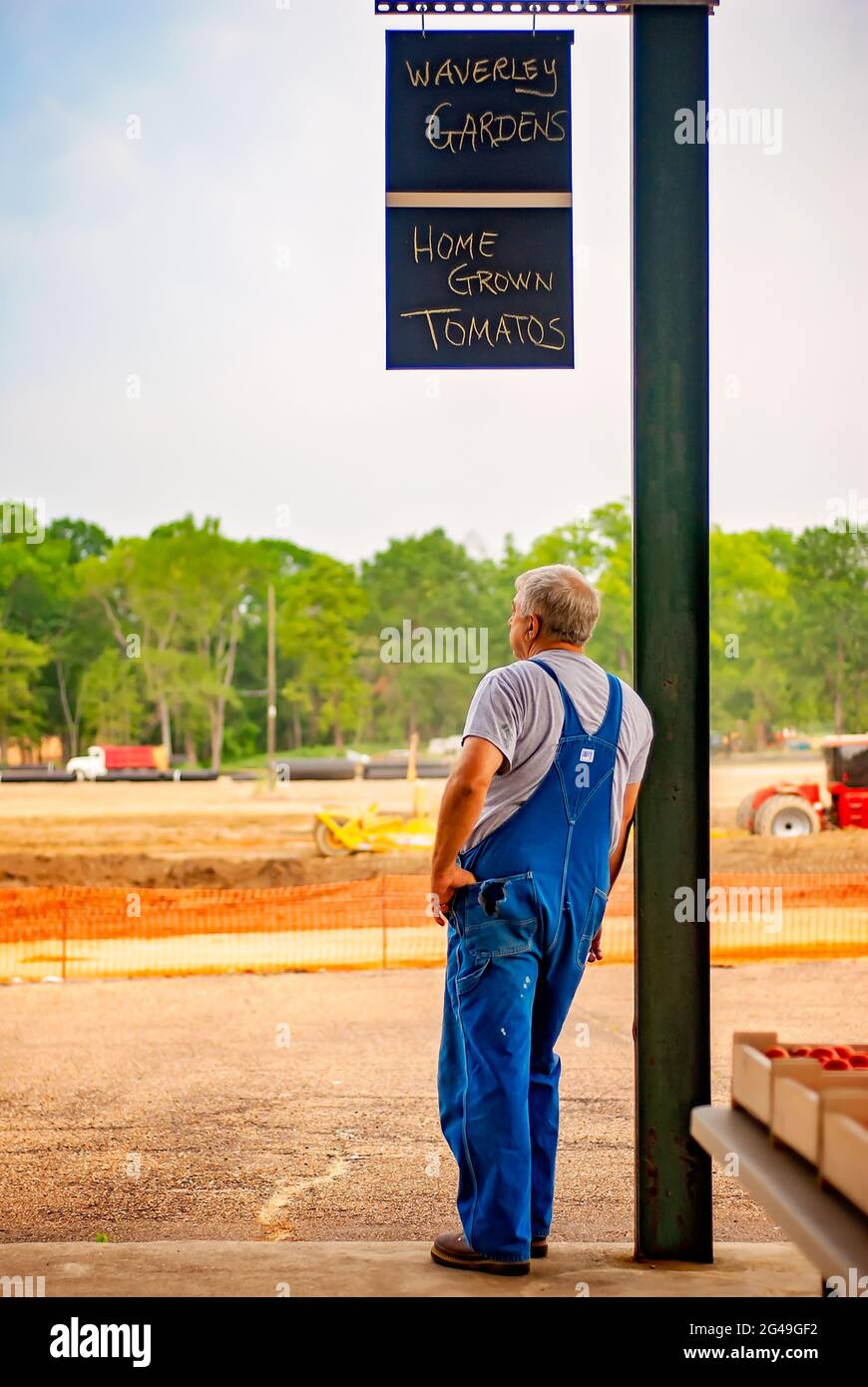 A farmer looks for signs of rain at the Hitching Lot Farmers Market, June 13, 2011, in Columbus, Mississippi. Stock Photo