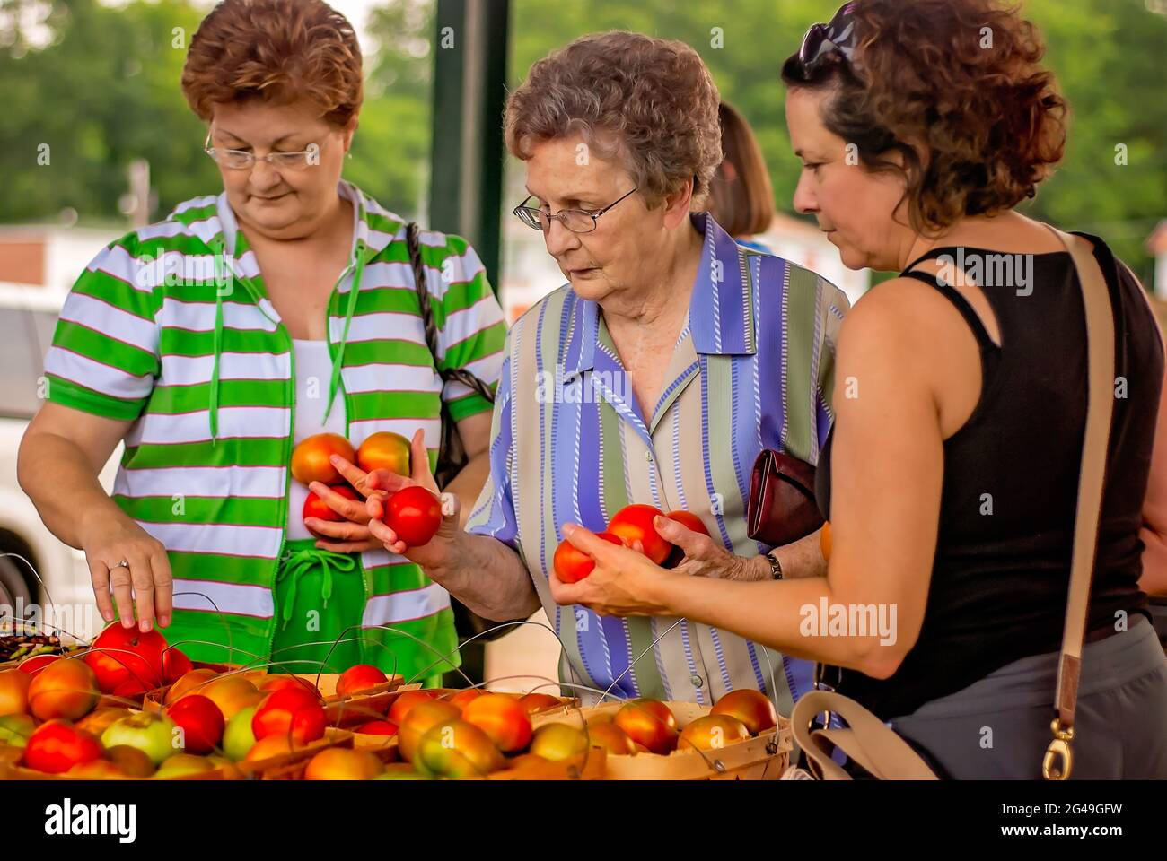 Women shop for home-grown tomatoes at the Hitching Lot Farmers Market, June 13, 2011, in Columbus, Mississippi. Stock Photo