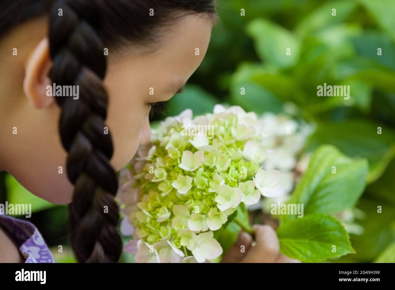 Girl child one smelling flower hi-res stock photography and images - Alamy