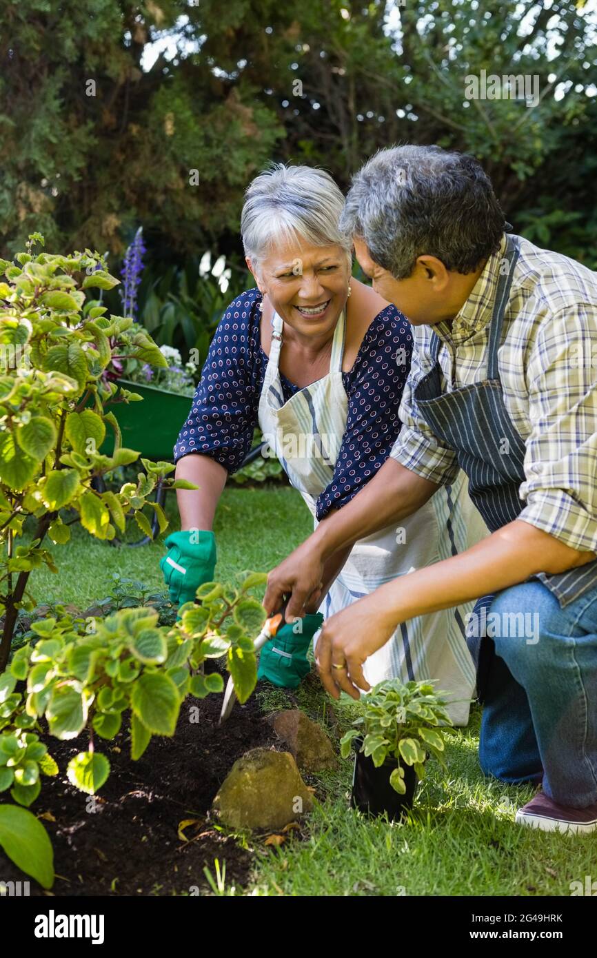 Happy older man gardening hi-res stock photography and images - Alamy