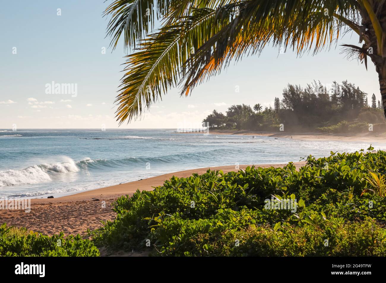 HAENAHAWAII, UNITED STATES Jun 01, 2021 A palm tree frames a