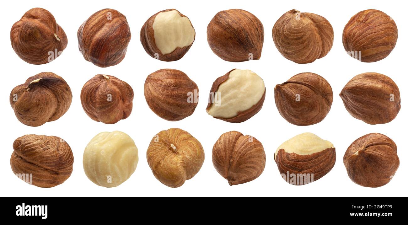 Hazelnuts isolated on white background, nuts collection Stock Photo