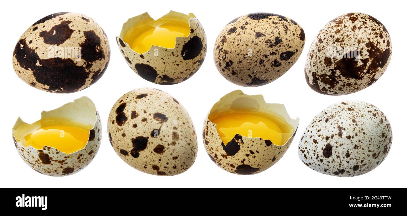 Fresh quail eggs isolated on white background Stock Photo